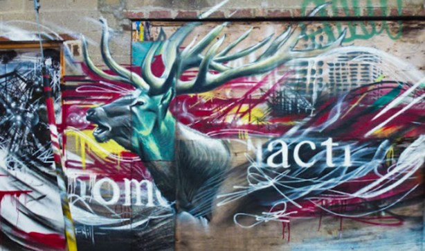 old street art mural by aaron li-hill of a moose with full antler rack, open mouth, 