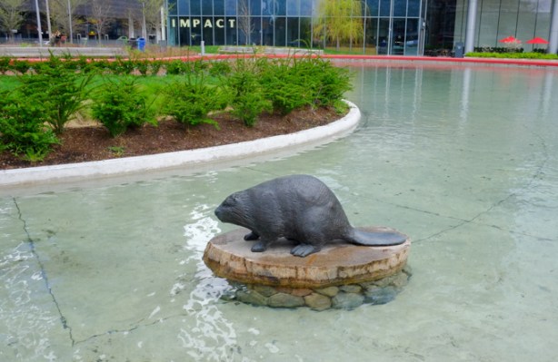 sculpture of a beaver on a small rock in the middle of a man made pond in love park, downtown