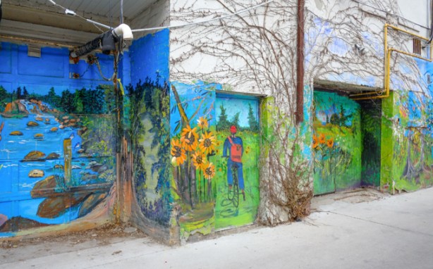 alley walls and doors painted by B C Johnson, scenes of nature
