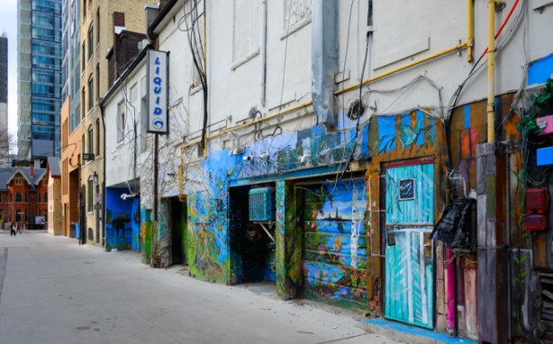 alley walls and doors painted by B C Johnson, scenes of nature