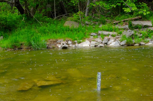 white measuring stick in the water, to measure water levels, Rouge River, 