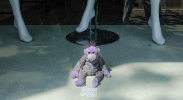 little stuffed grey and light purple monkey sitting in the window of a store with 3 mannequin feet behind it. 