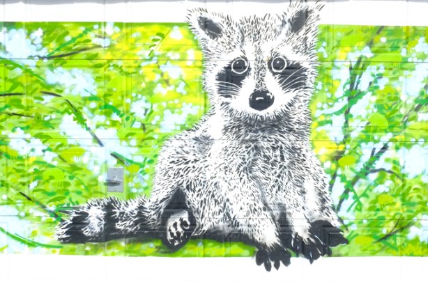 mural by D. Terra stencils, of a young raccoon, green leafy background
