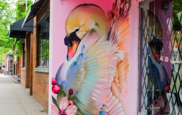 mural of a white swan on pink background by the entrance to a store on Ossington