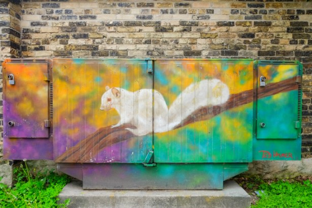 painting by Ted Hamer, of the white albino squirrel that is seen at Trinity Bellwoods park, on a metal bell box on the sidewalk