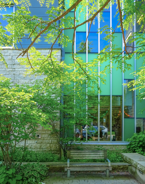 large windows at brentwood Library, some clear, some green, and some blue, trees and a bench in front, some reflections in the glass