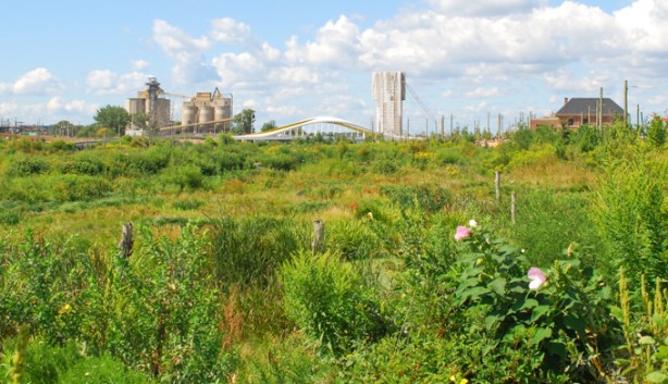 greenery, shrubs and plants in foreground, lafarge cement, yellow bridge in background, biidaasige park, don river