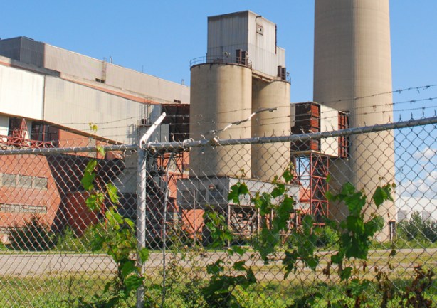 hearn generating station building, behind fence with vines growing on it 