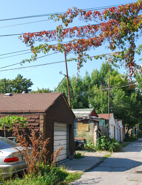 vines growing on overhead wires, over a lane, with garages along the sides of the alley