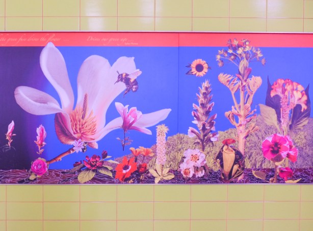 mural picture seen inside dupont subway station, concourse level, on tiles