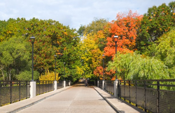 glen cedar pedestrian bridge in late october when the trees were in their autumn foilage