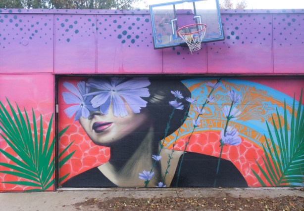basketball hoop, slightly crooked, mounted on garage with large mural of a woman with pale purple flowers over her eyes, 