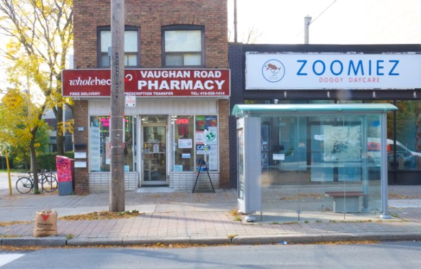 vaughan road pharmacy, brick building on vaughan road, beside newer building with is home to zoomiez doggie daycare