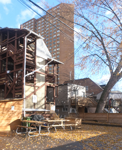 view from lane, backyard with picnic tables, apartment building in the background, sunny day, leaves on ground