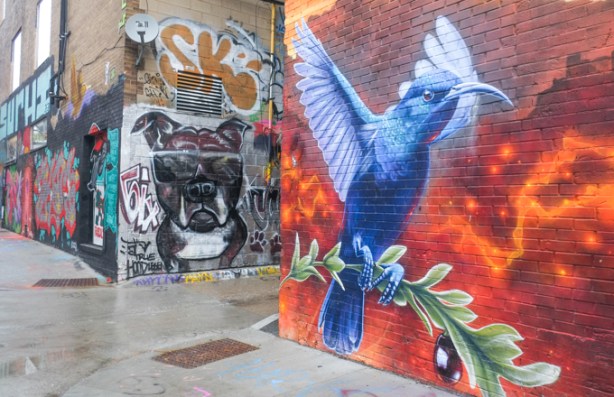 two murals, street art painting, graffiti alley, blue bird with open wins, but feet on pine branch, in background is a squat heavy set black and white dog mural