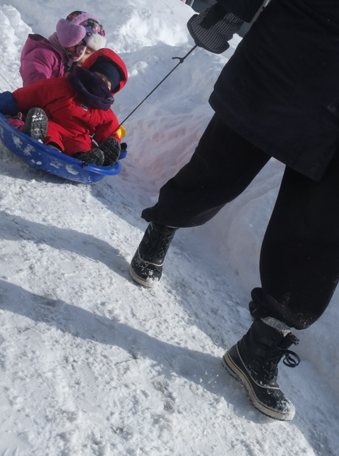 kids on a sled being pulled along sidewalk
