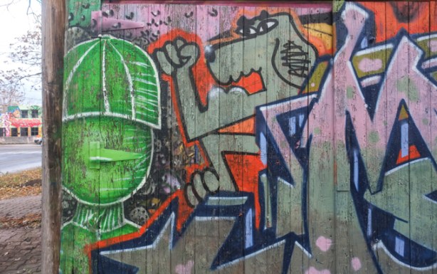 street art painting, grey dog pumping biceps to show off hi muscles, bulge in muscle