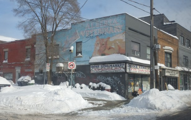Done Xing Market with a large painting on the side of the building which is an ad for Alberta Veterinary Services, painting of a large ginger cat, winter day, snow banks,