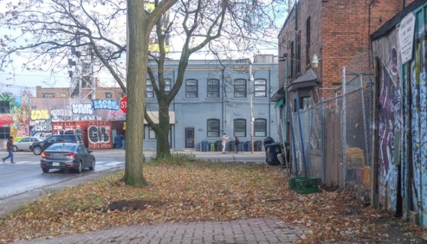 large tree, vacant lot, on Glenlake, looking east towards Dundas West