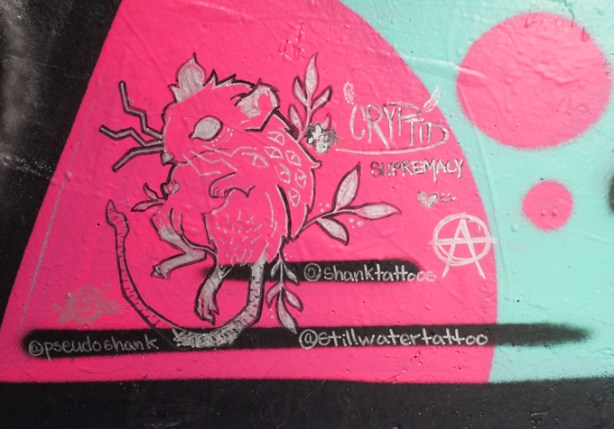 pink background with drawing of a rat sitting on a bench, long tail, words: cryptid supremacy