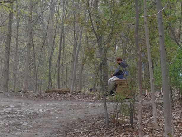 In a park, early spring, lots of trees, dirt path, man sitting on a wood structure, with a phone in his hands, looking at the phone 