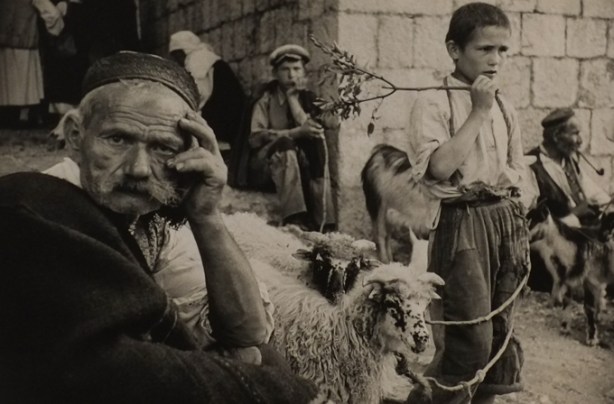 Marc Riboud Magnus Photo, black and white photos taken in Dalmatia region of Yugoslavia (now Croatia), people at cattle market in Vrilka