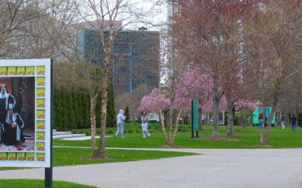 Aga Khan park in spring, with people looking at pink blossoms on the weeping cherry trees, also an art exhibit of photos by Hassan Hajjaj, of Arab women boxers 
