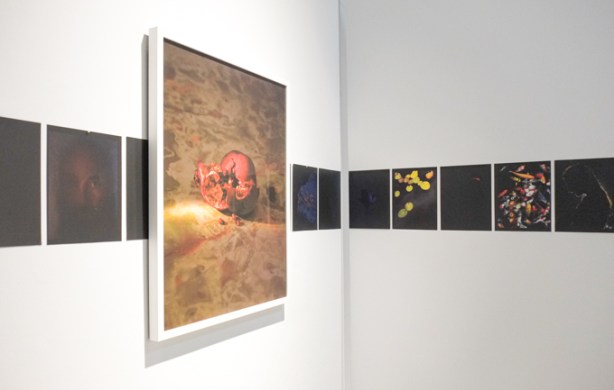 photography, at a gallery, exhibit titled Aphasia, by James Andrew Rosen