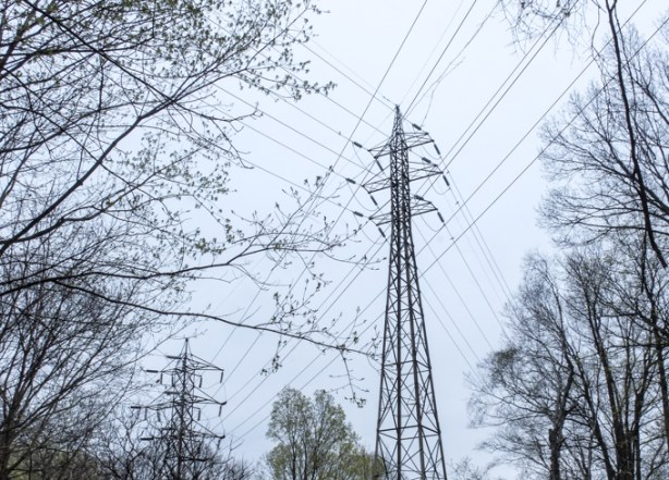 transmission towers and wires among the tree tops