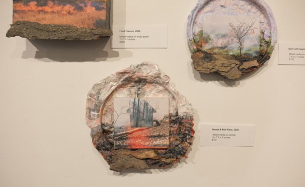 photo by Frances Patella in photography exhibit for contact photography festival 2026 Propeller Gallery