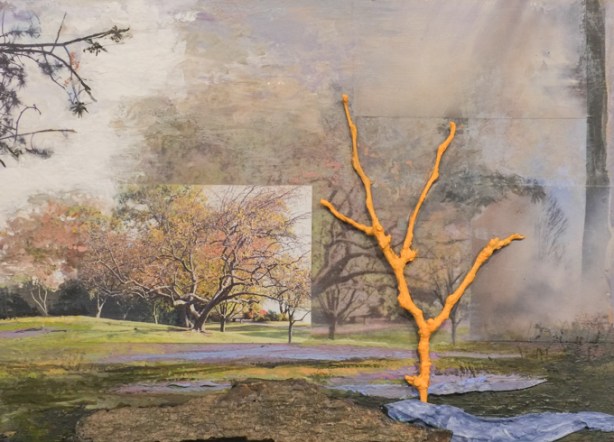photo by Frances Patella in photography exhibit for contact photography festival 2026 Propeller Gallery, title is yellow tree