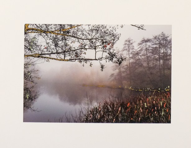 photo by Lilianne Schneider at Gallery 1313 in photography exhibit for contact photography festival 2026,