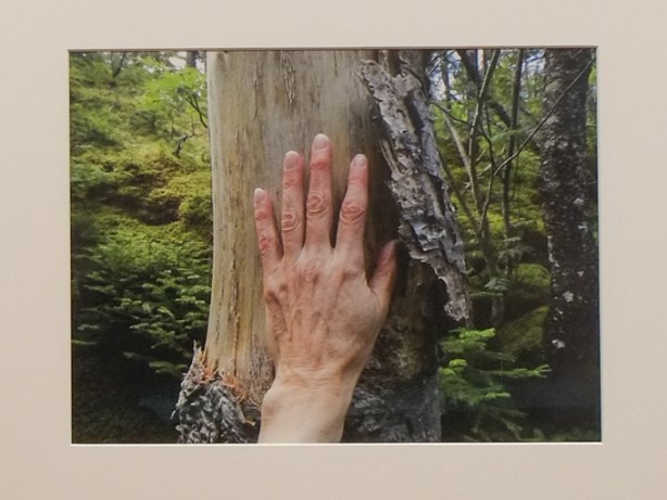 photo by Marlene Creates in photography exhibit for contact photography festival 2026,