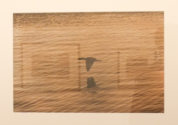 photo by Peter Friedrichsen in photography exhibit for contact photography festival 2026, at Propeller Gallery