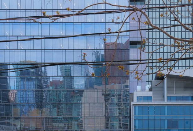 reflections in Drug Trading Company building, also known as the Shift