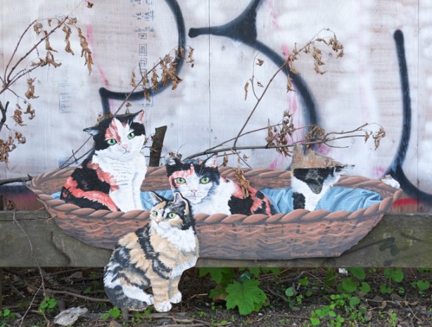 old painting of cats in a wicker basket, outside a vet on King and Cherry