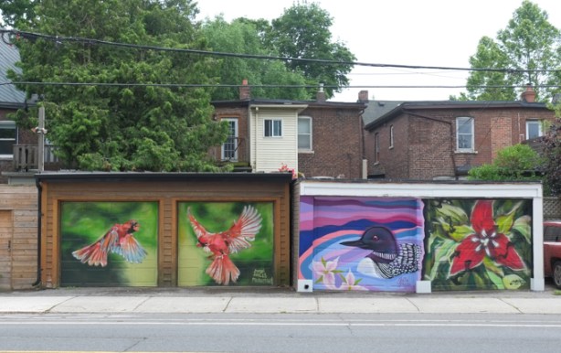 painted garages (murals) behind houses on Dundas street east, red cardinals in flight, loon, and a red trillium