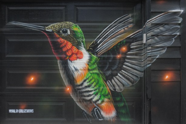 ruby throated hummingbird in flight, a street art mural on a garage door by blaze works