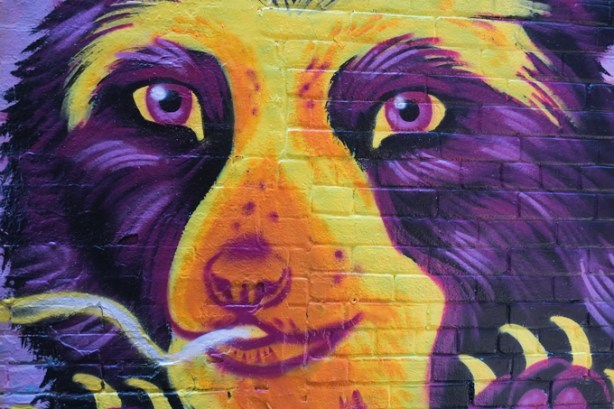 street art painting of a purple and yellow bear's face and front paws