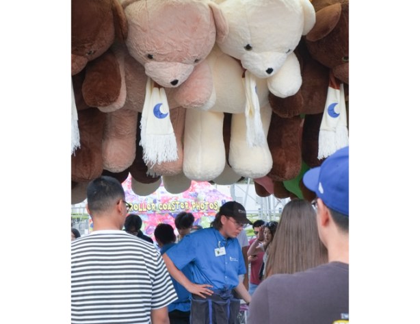 enormous stuffed bears hanging from the ceiling, games prizes