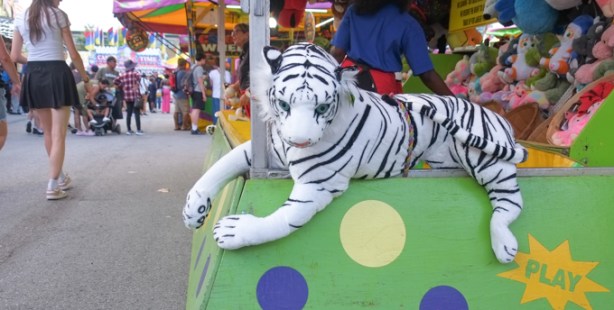 enormous stuffed tiger, white with black stripes, as decoration at a midway game at the Ex
