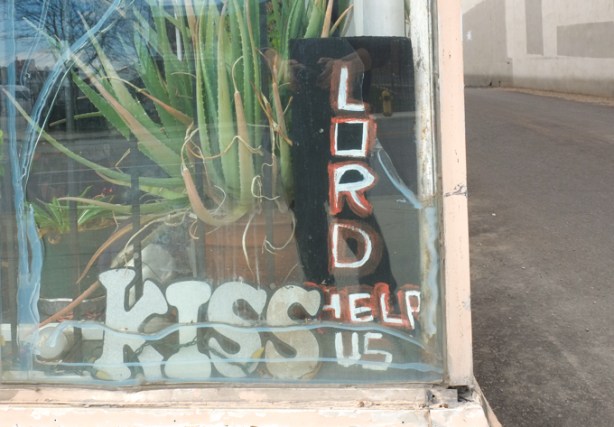 store window with a large plant, also two hand written signs, one says lord help us and the other says kiss