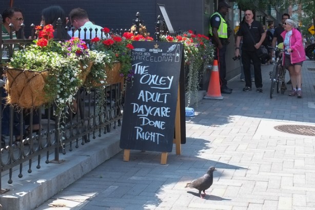 outdoor restaurant patio with sign that says The Oxley adult daycare done right, pigeon in sidewalk, other people walking on sidewalk too, policeman watching
