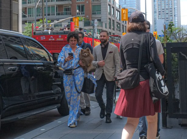 woman holding a small dog and looking at her phone as she walks with a group of people 