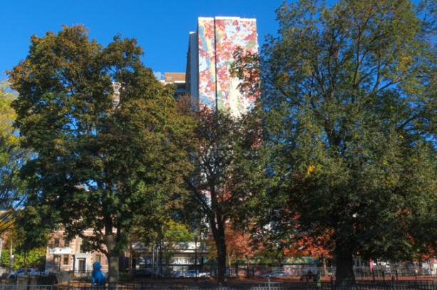 view of Ecology of Us mural, by Jarus, from Allan Gardens, with two large trees blocking the view of the lower part of the mural