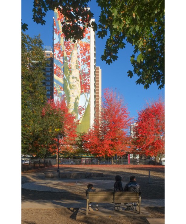 mural, with people sitting on a bench in the dog park at Allan Gardens, looking at mural, 