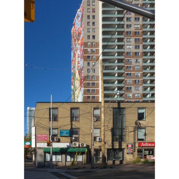 northwest corner of Carleton and Homewood