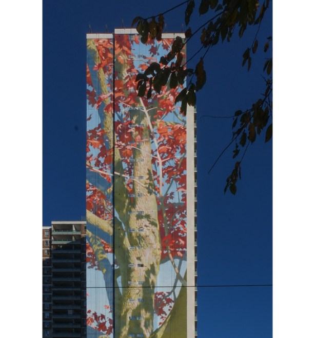 22 storeys high, mural, tree trunk, some branches and some autumn leaves